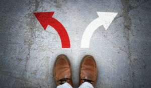 borrowers decide between SAVE and PAYE repayment plans