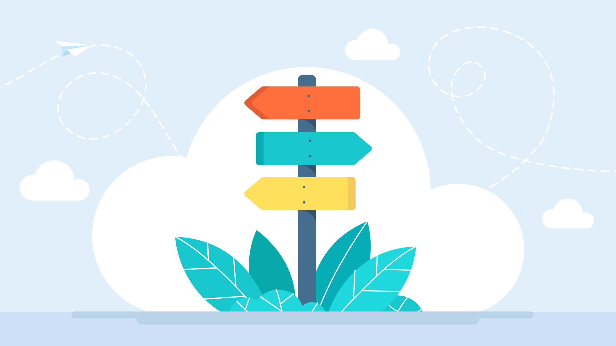 Borrowers evaluate options for IBR, ICR, PAYE or waiting.