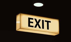 exit REPAYE PAYE IBR